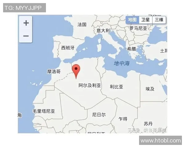 尼日利亚与阿尔及利亚比赛场地分析及影响因素探讨